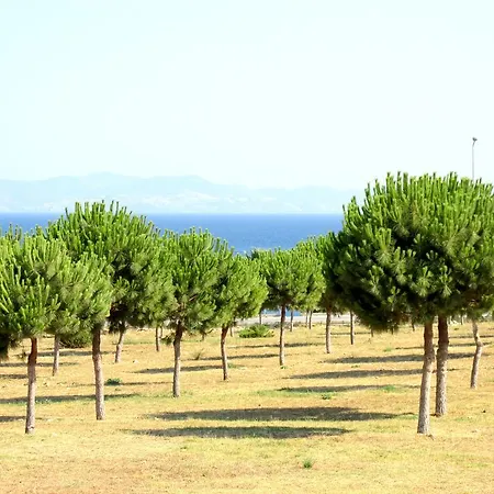 The Sea Garden דירה *